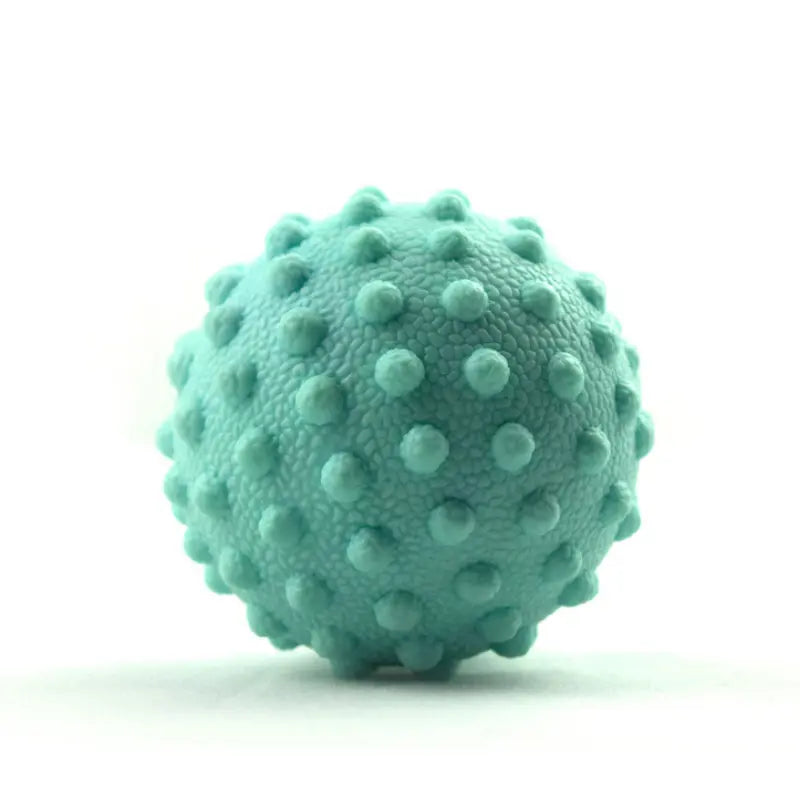 Axis Precision Meridian Ball Axis Rehab
