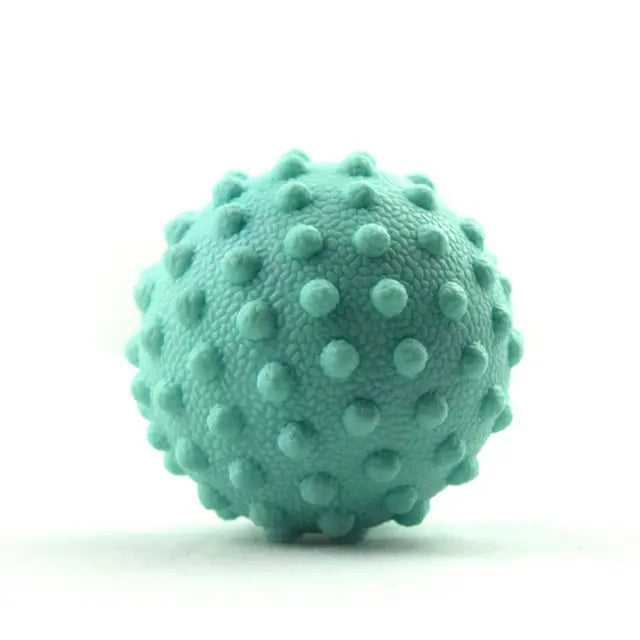 Axis Precision Meridian Ball Axis Rehab