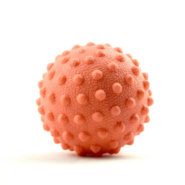 Axis Precision Meridian Ball Axis Rehab