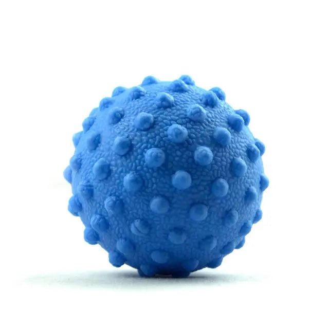 Axis Precision Meridian Ball Axis Rehab
